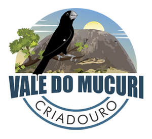 CIG's | Criadouro Vale do Mucuri - Bicudos - Minas Gerais